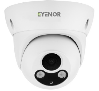 2MP H.265 IR IP Eyeball Camera
